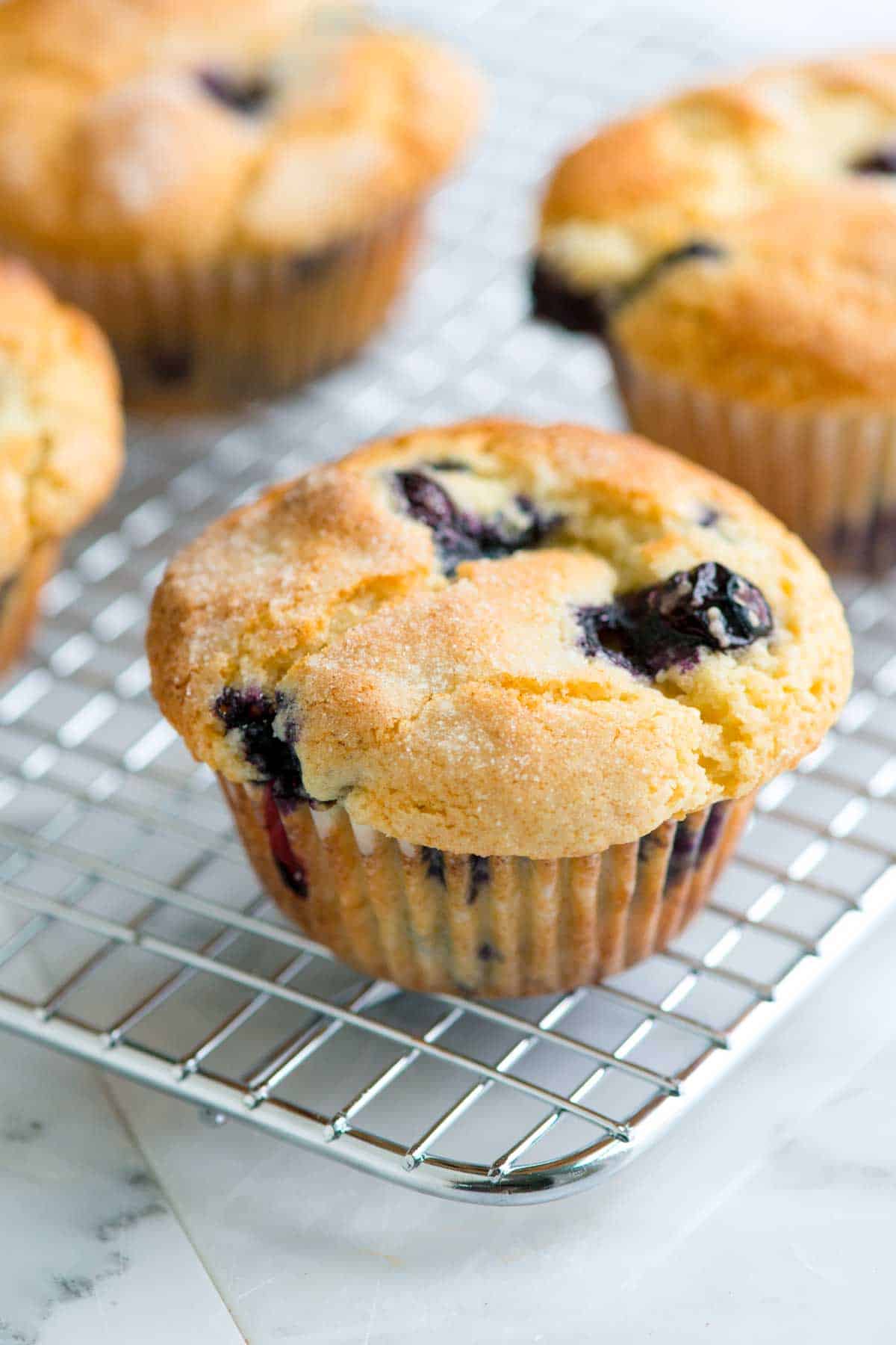 Blueberry Muffin Mixture