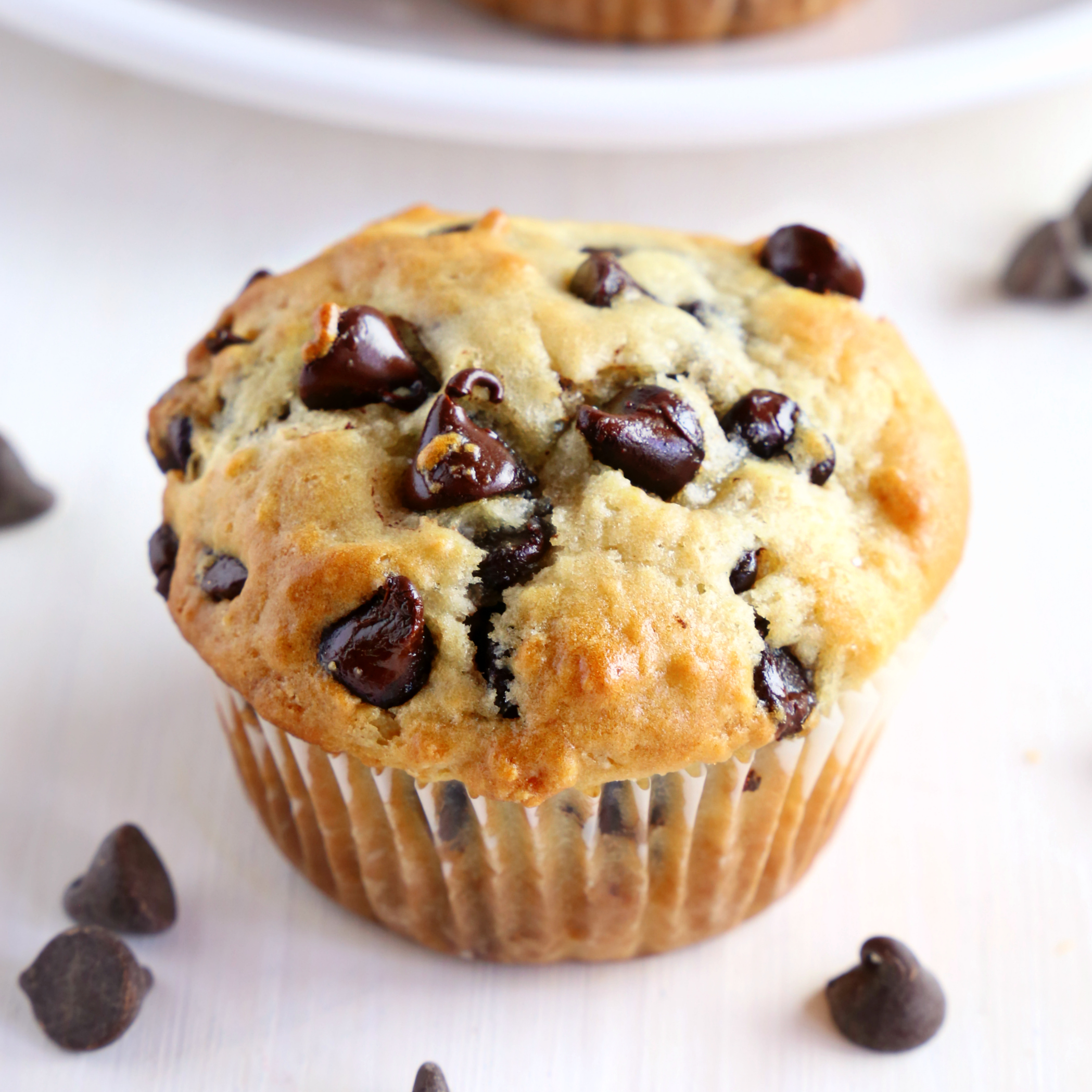 Choc Chip Muffin Mixture